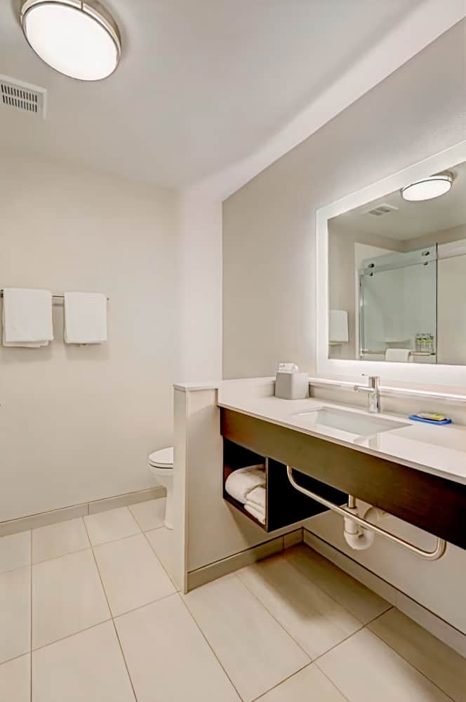 Holiday Inn Express & Suites - Auburn Downtown