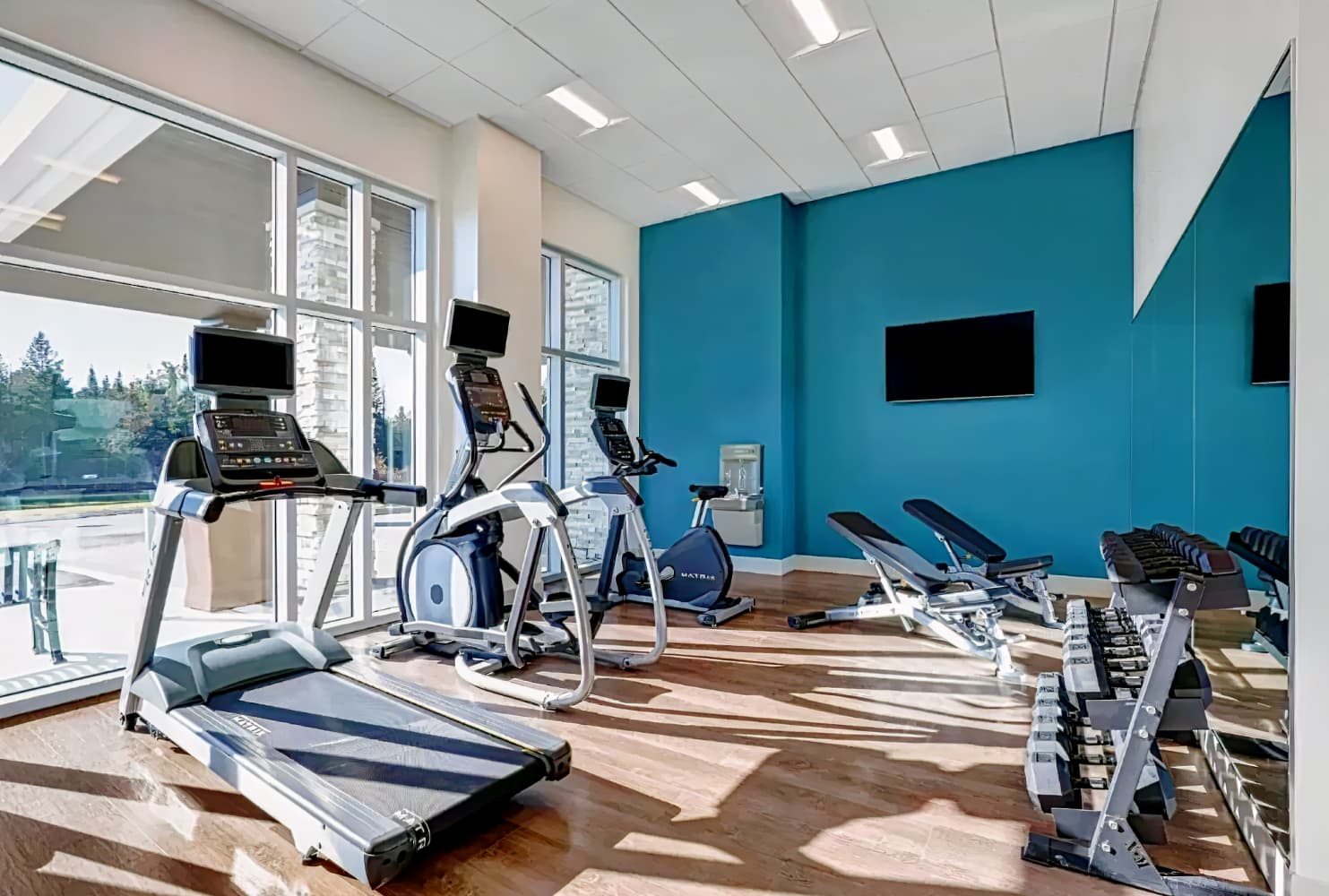 Holiday Inn Express Kingston West