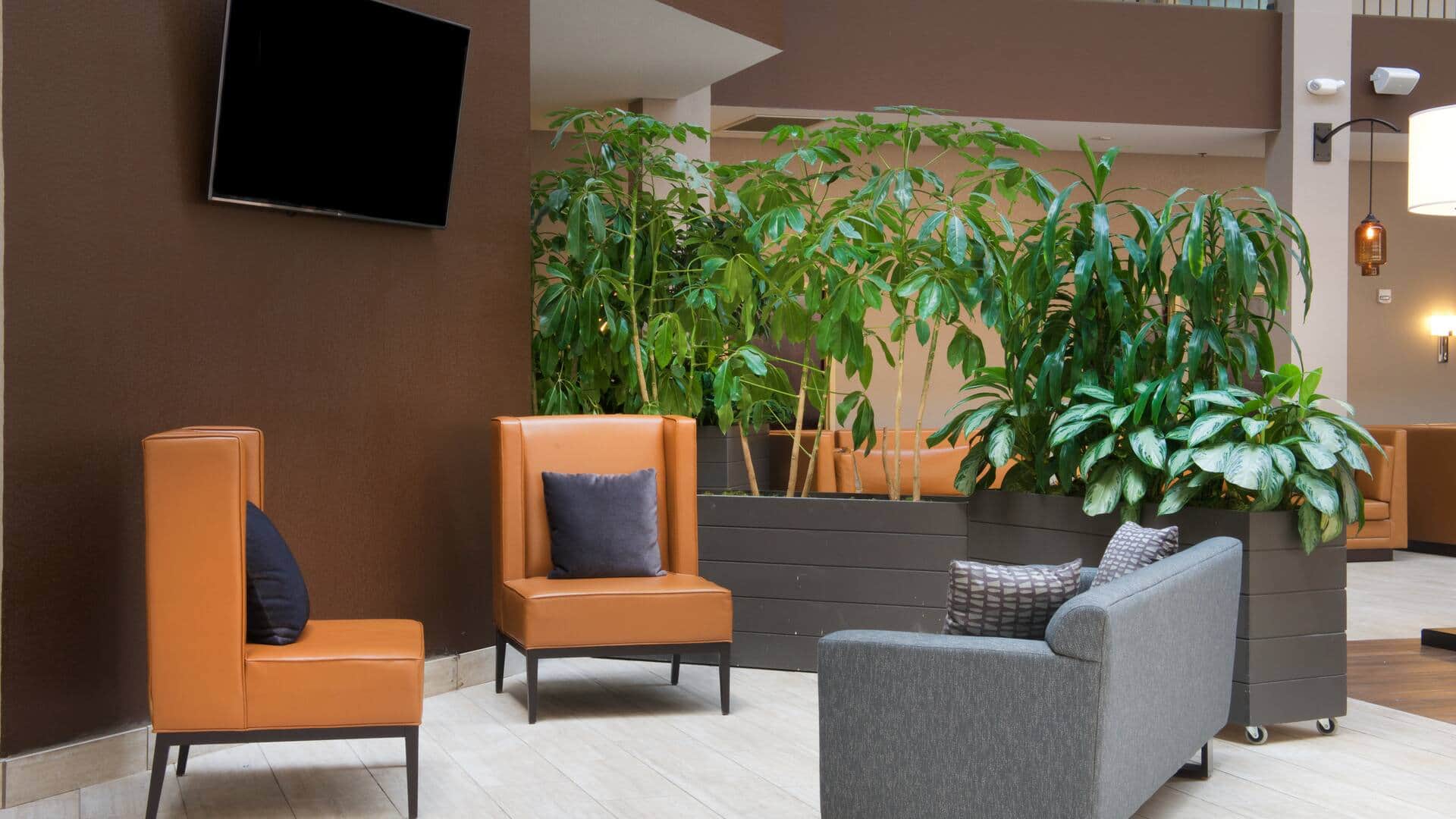 Embassy Suites by Hilton Seattle North Lynnwood