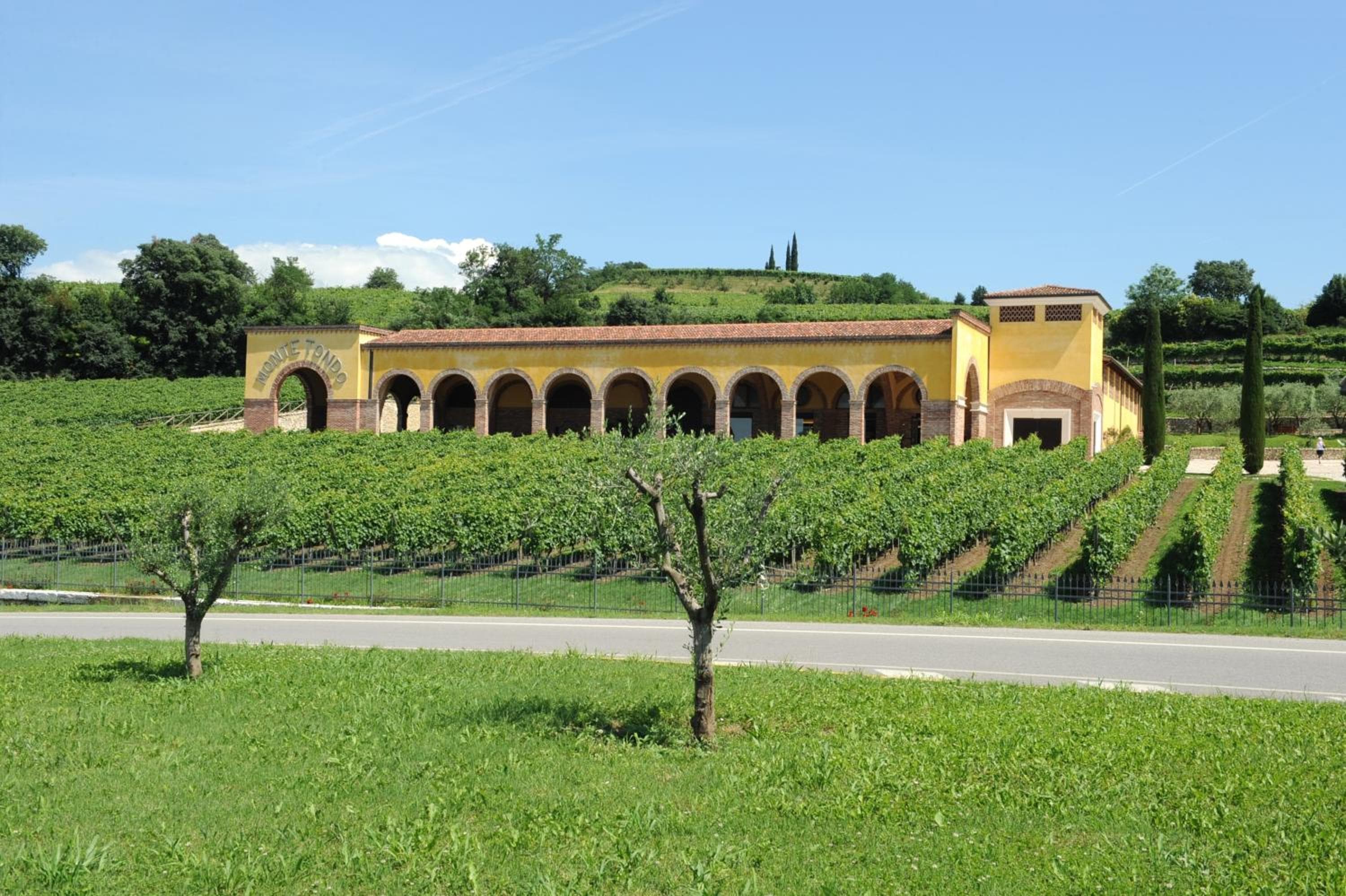 Monte Tondo Winery